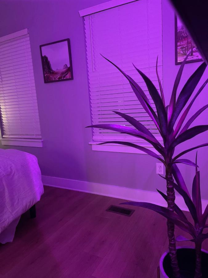 Classy, Cozy, Close To Downtown 내슈빌 외부 사진
